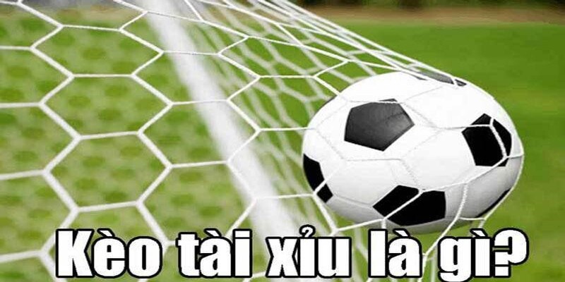 Cách hiểu chính xác nhất về tài xỉu trong cược bóng đá